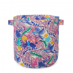 Carnival Hamper